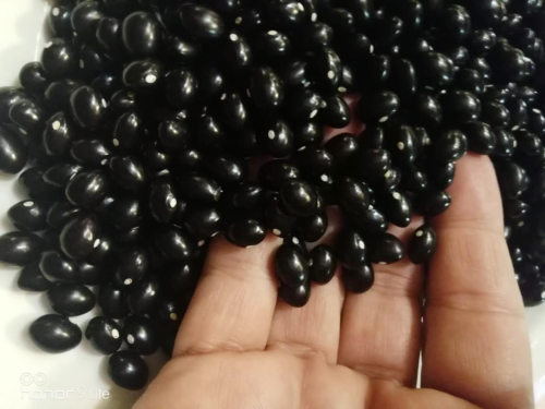 la joya de las alubias negras-tolosa en sukalde bilbao