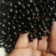 la joya de las alubias negras-tolosa en sukalde bilbao